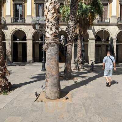 Cervecería Canarias