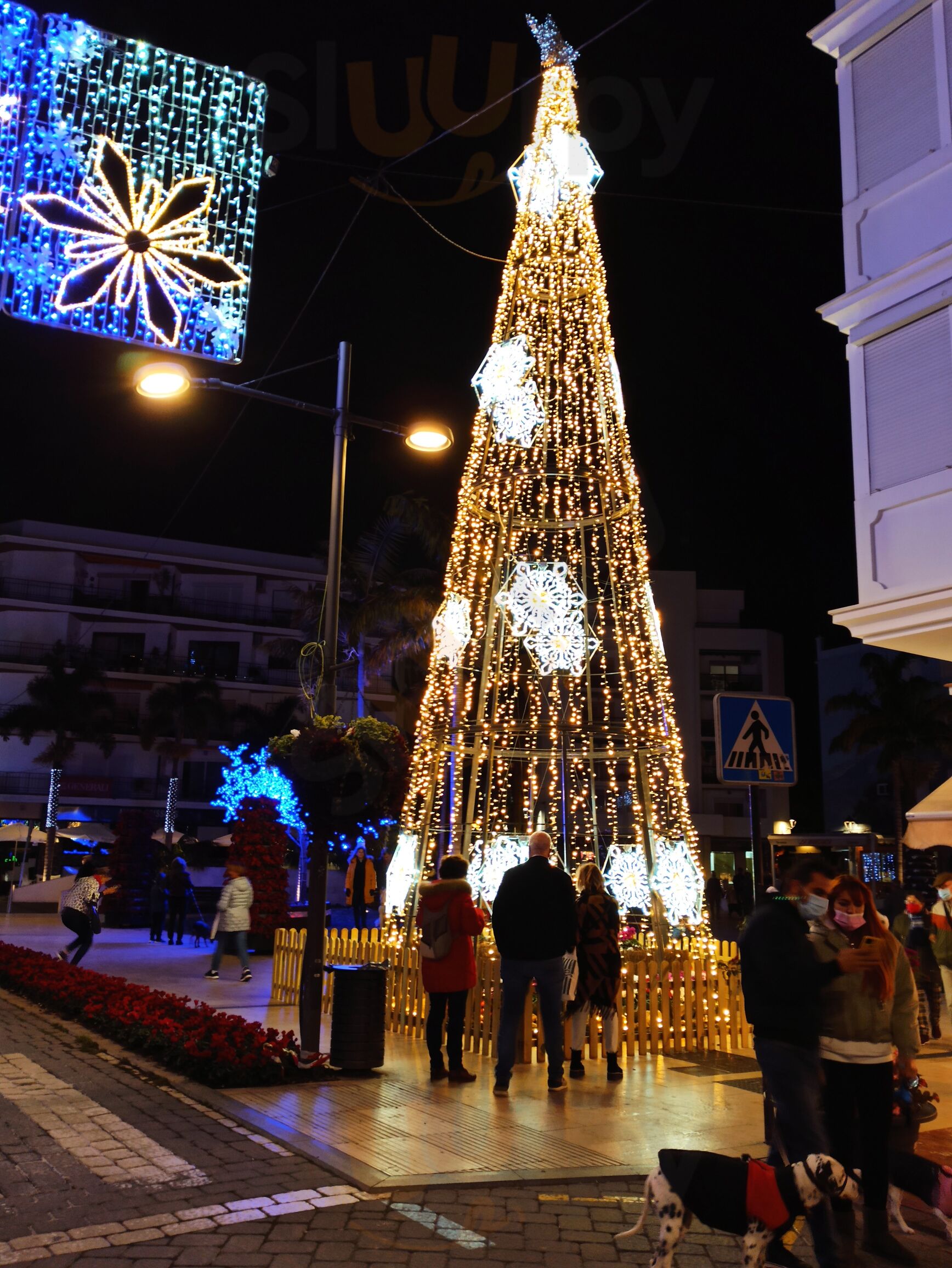 Cafetería - Freiduría Casa La Clavija