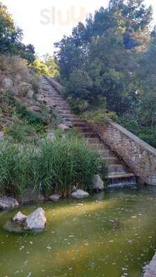 Plantaciones De Origen