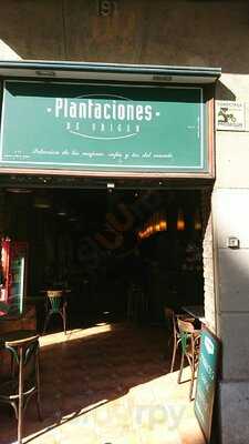 Plantaciones De Origen
