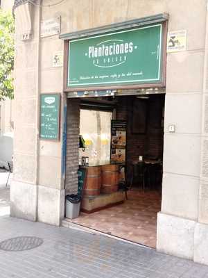 Plantaciones De Origen