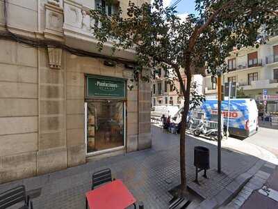 Plantaciones De Origen