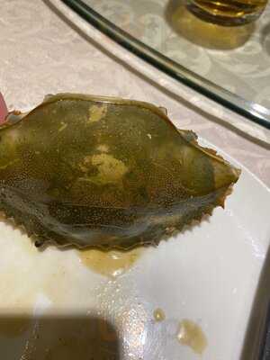 Dazhong Restaurante Xine