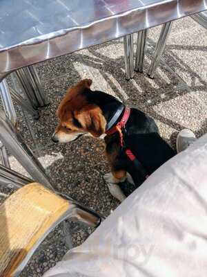 Cervecería Cafetería Monte Tossal