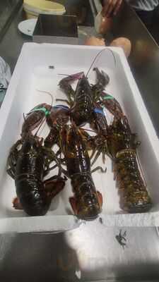 Restaurante Del Pescador