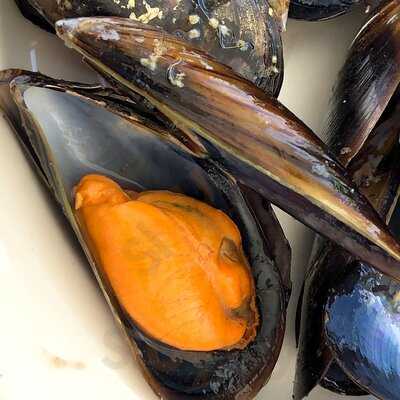 Restaurante Botavara