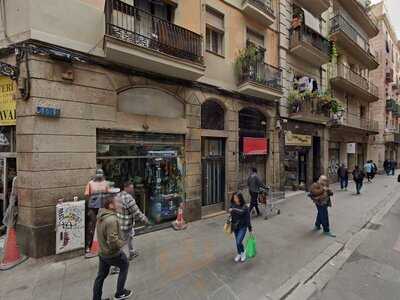 La Palmera Del Desierto