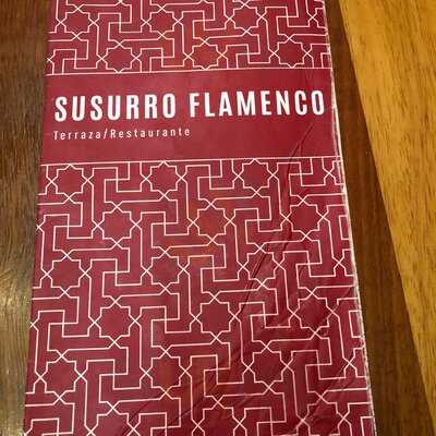 Susurro Flamenco - Photo 8
