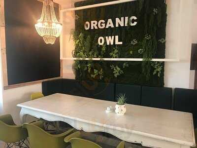 Owl Organic Market