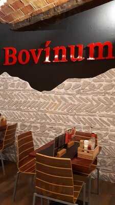 Bovinum