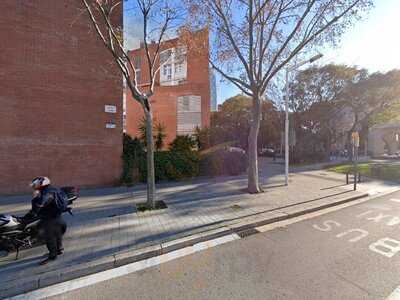 Xurreria Les Palmeres