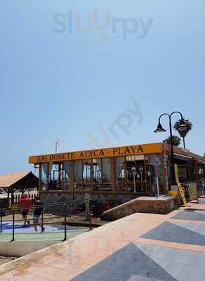 Salmonete Alyca Playa