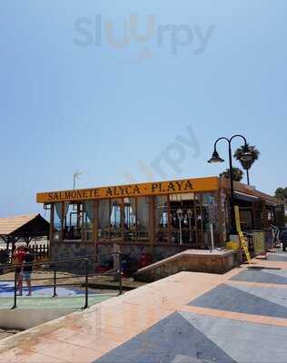 Salmonete Alyca Playa