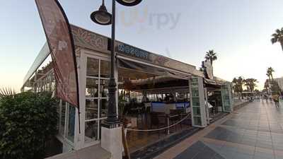 Salmonete Alyca Playa