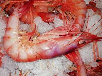 Bar Restaurante Casa De Cultura