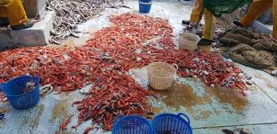 Bar Restaurante Casa De Cultura