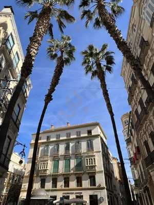 Starbucks Felix Saenz