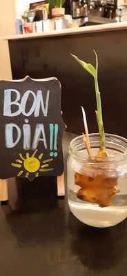 Bar Restaurant Mig Amic