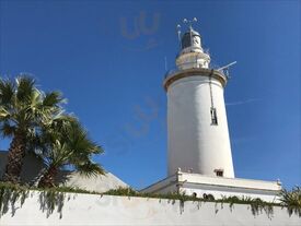 La Surena Plaza Las Flores