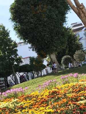 Cafeteria Las Orquideas