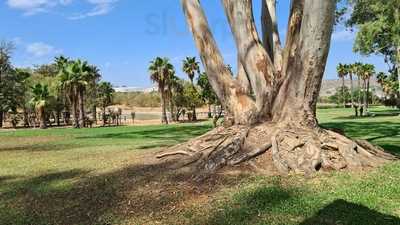 La Terraza Del Parque