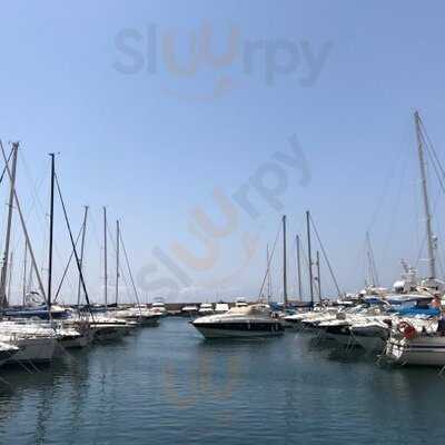 Altea Consuegra Ponzoda