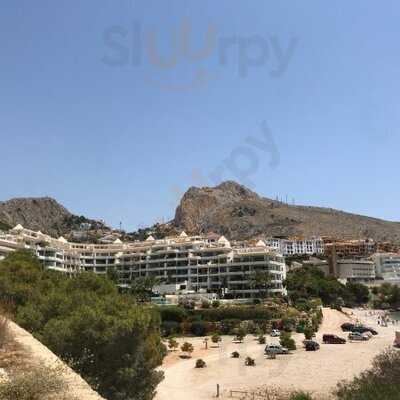 Altea Consuegra Ponzoda