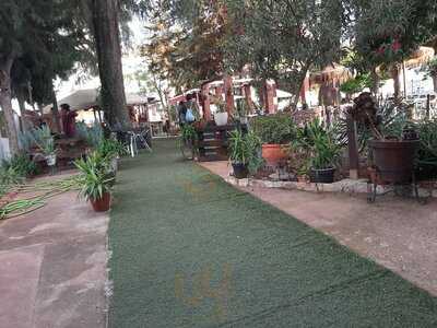 Terraza Bar El Castillo