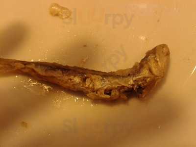 El Raconet - Photo 8