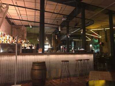 Clubhaus - Jungle Room