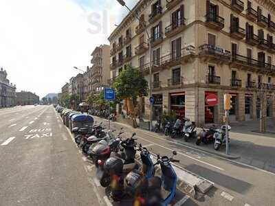 Clubhaus - Jungle Room