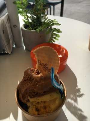 Enrollados Happy Together