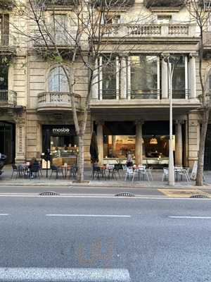 Tento Pau Claris 113