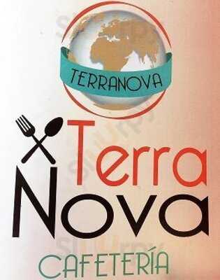 Terranova 33