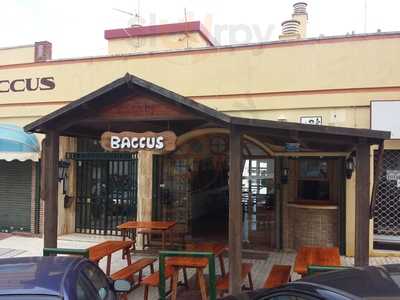 Bar Baccus