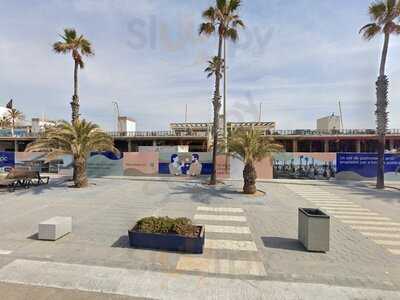 Dino Naturalmente Gelato