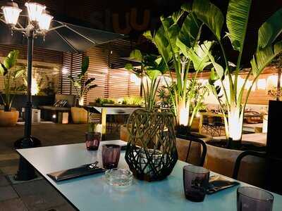 El Gallinero Del Apolo