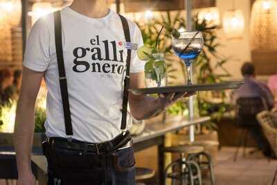 El Gallinero Del Apolo