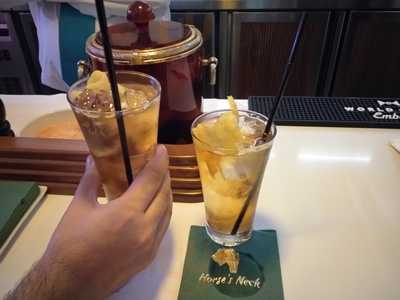 Cockteleria Bar Horse's Neck