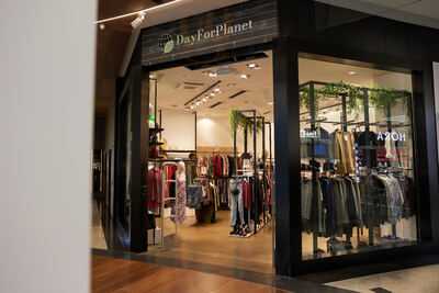 Yours Mandonguilleria