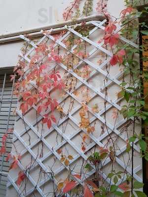 Lvna Night & Restaurant