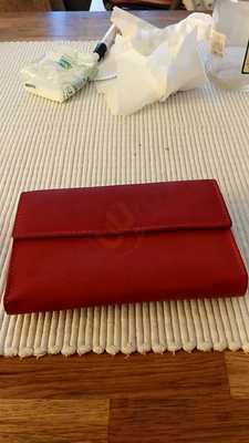 The Purple Dragonfly