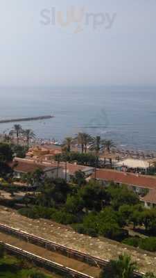 The Purple Dragonfly