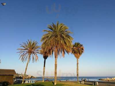 Parrilla Argentina A Domicilio