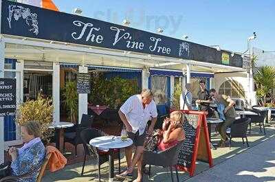 The Vine Tree