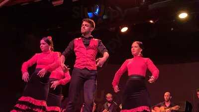 Palacio Del Flamenco