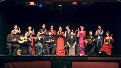 Palacio Del Flamenco