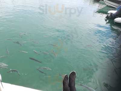 Versalles Wok Buffet