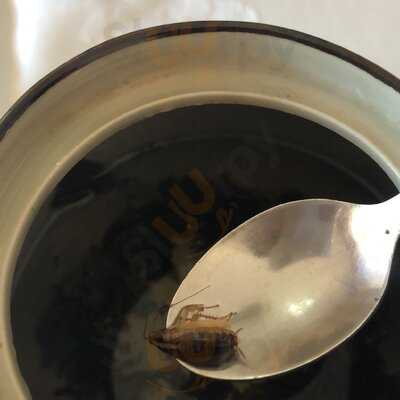 Restaurante Chino El Jardin