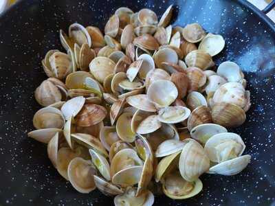 Chiringuito Las Niñas